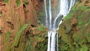 Day excursion to Ouzoud waterfalls in Morocco
